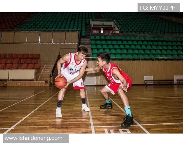 湛江地区知名体育明星排行榜揭晓谁将成为最受欢迎的运动员