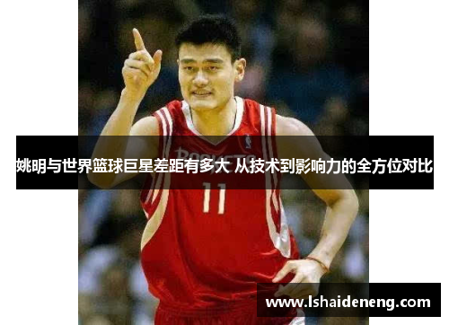 姚明与世界篮球巨星差距有多大 从技术到影响力的全方位对比