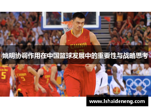 姚明协调作用在中国篮球发展中的重要性与战略思考