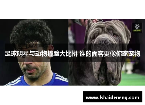 足球明星与动物撞脸大比拼 谁的面容更像你家宠物