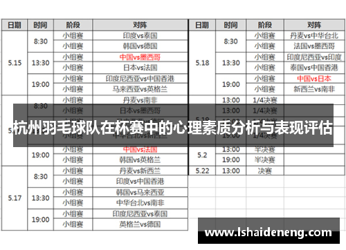 杭州羽毛球队在杯赛中的心理素质分析与表现评估