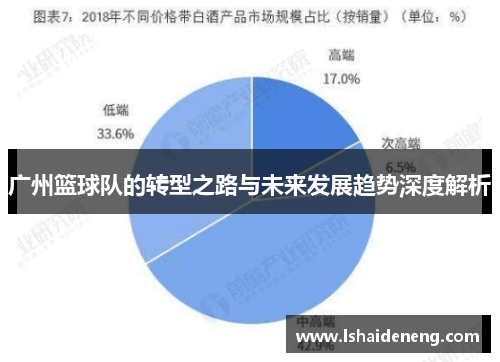 广州篮球队的转型之路与未来发展趋势深度解析