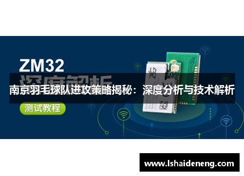 南京羽毛球队进攻策略揭秘：深度分析与技术解析