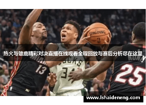 热火与雄鹿精彩对决直播在线观看全程回放与赛后分析尽在这里